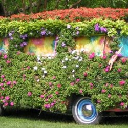041VWBus
