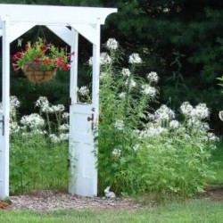 DoorArborVignette710-600x400