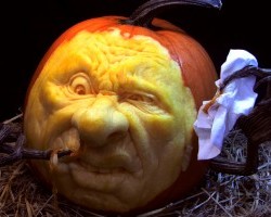 IMG_1678-383x200