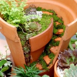 Mini_garden_broken_pot