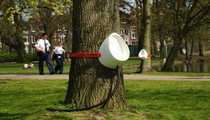 P-Tree park1