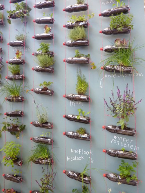 bottle-garden