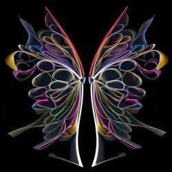 cara-barer-butterfly-24