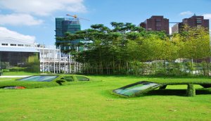 cars-grass-1