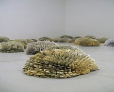 forest-lungs-of-the-world-571x800