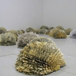 forest-lungs-of-the-world-571x800