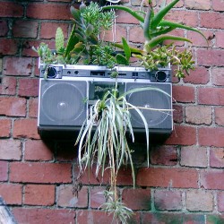 radio