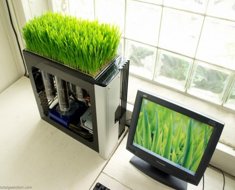 Bio-Computer_2-500x362