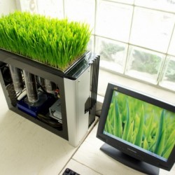 Bio-Computer_2-500x362