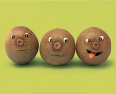 fruitsvegs10
