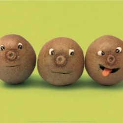 fruitsvegs10