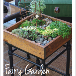 miniature-garden-