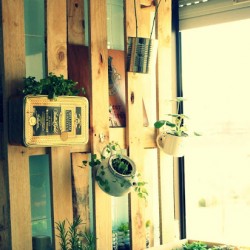 pallet