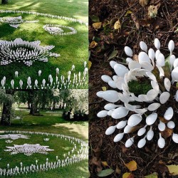 spoons-flowers