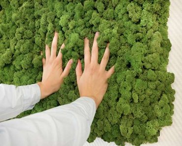 moss
