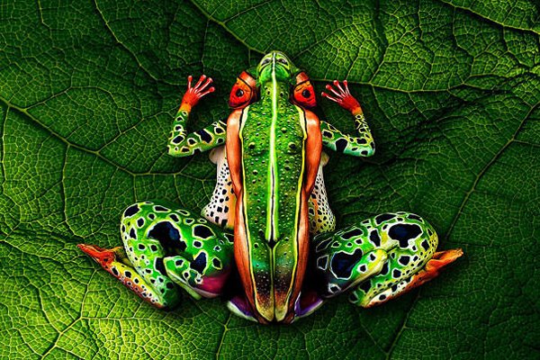 bodypainting-johannes-stoetter-1