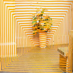 prt_1143x768_1357274932
