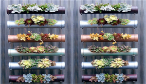 vertical-garden-1