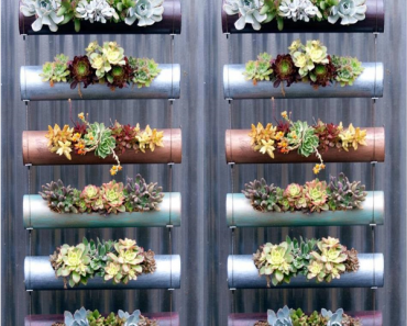 vertical-garden-1