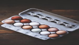 xeggs2.jpg.pagespeed.ic.ZvDwOFjWvt