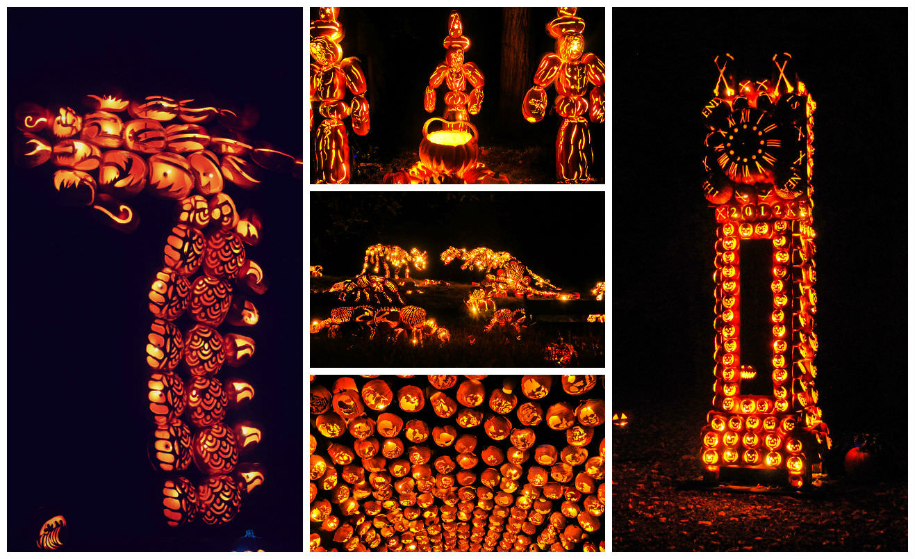 Fotor01031104350