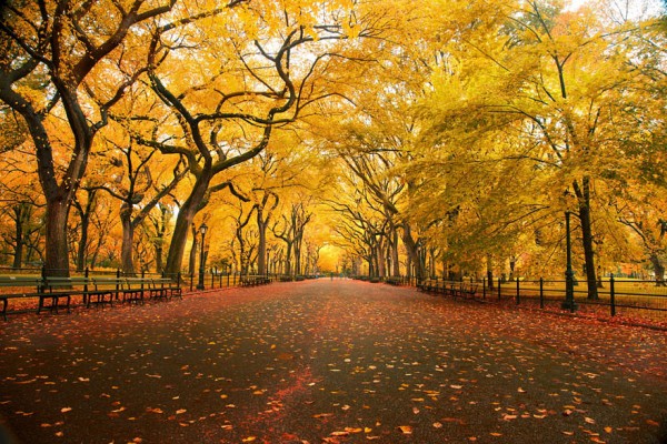 autumn-photography-13