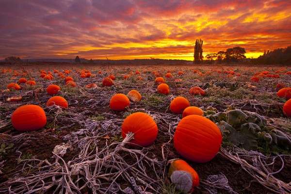autumn-photography-14
