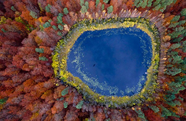 autumn-photography-4