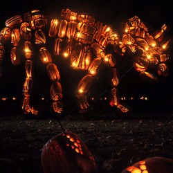 pumpkin-carvings-jack-o-lantern-blaze-1