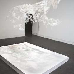 white02