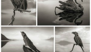 FotorCreated