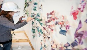 currency-butterflies-by-erika-harrsch-designboom-01