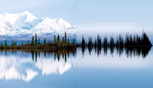 anna-marinenko-nature-sound-waves-designboom-13