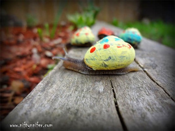 Save The Snails, Pimp Their Shells! Animals + Nature Save The Snails, Pimp Their Shells! Animals + Nature