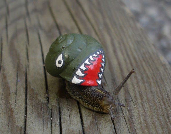 Save The Snails, Pimp Their Shells! Animals + Nature Save The Snails, Pimp Their Shells! Animals + Nature