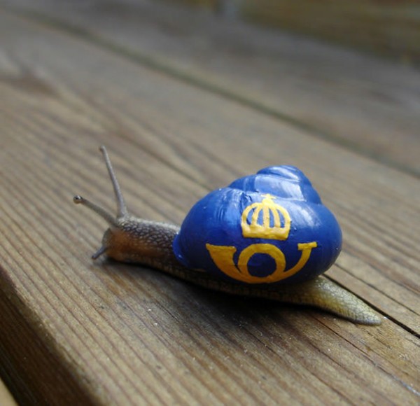 Save The Snails, Pimp Their Shells! Animals + Nature Save The Snails, Pimp Their Shells! Animals + Nature