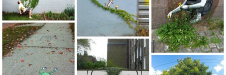 When Street Art Meets Urban Nature