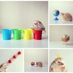 FotorCreated