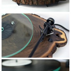 Real Tree Trunk Turntable