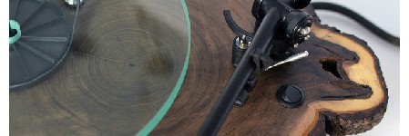 Real Tree Trunk Turntable
