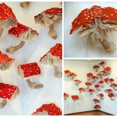 Mushrooms Books Installation Mushrooms Books Installation