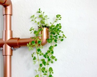DIY_PBC_PLANTER_101
