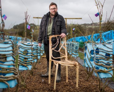 The man who grows natural chairs