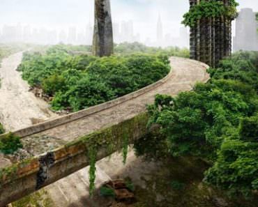 What Would Happen If Humans Disappeared