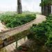 What Would Happen If Humans Disappeared